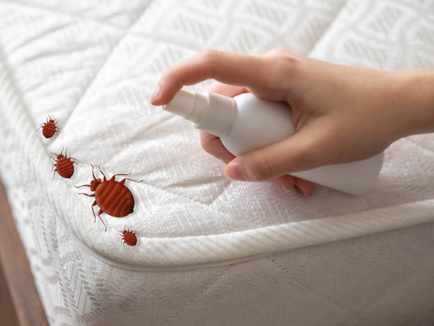 Professional Pest Control in Sultan, WA