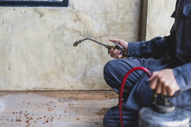 Best Affordable Pest Control Services  in Sultan, WA